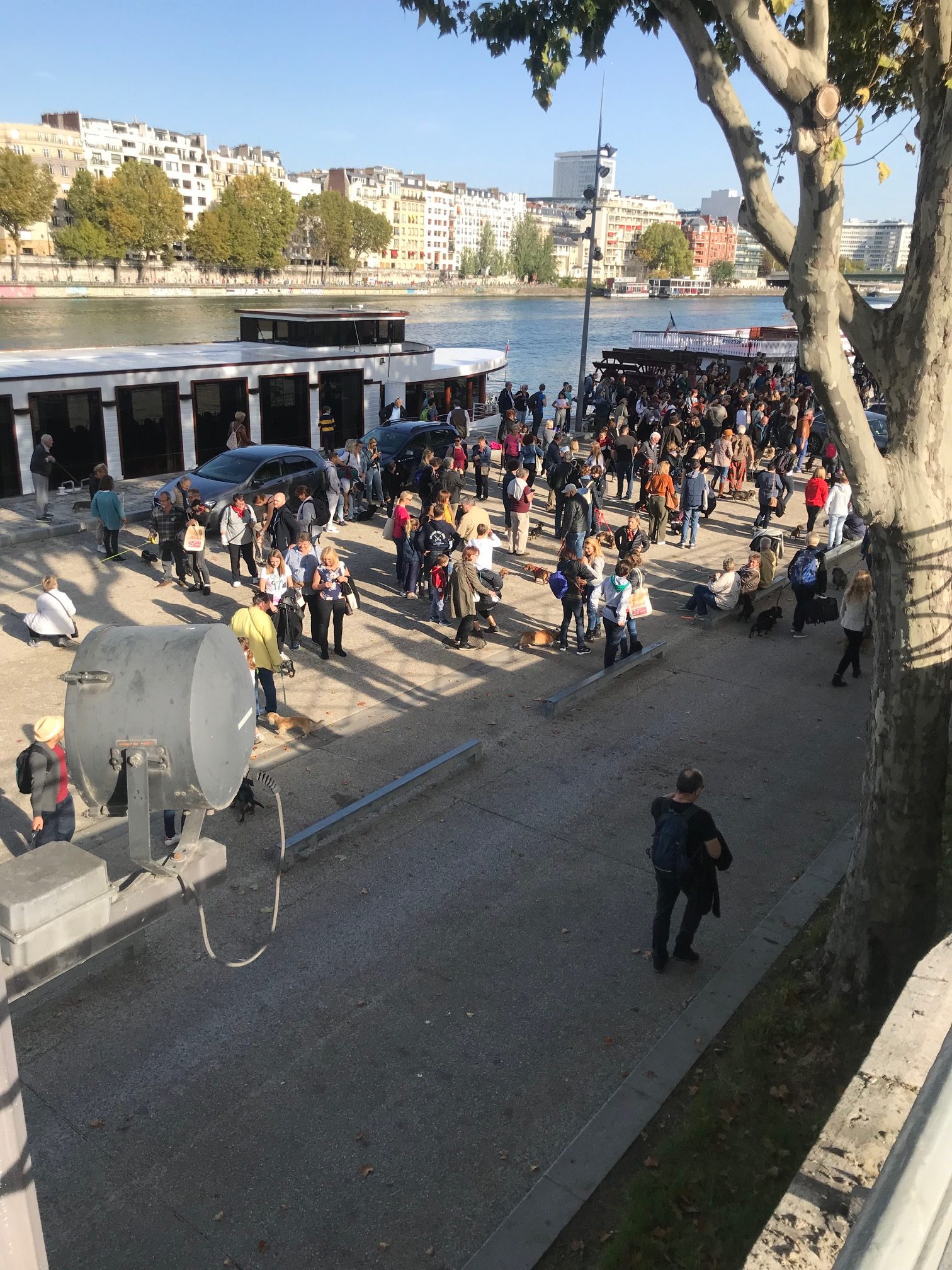 SAUSAGE WALK 2019 Club des Amateurs de Teckels